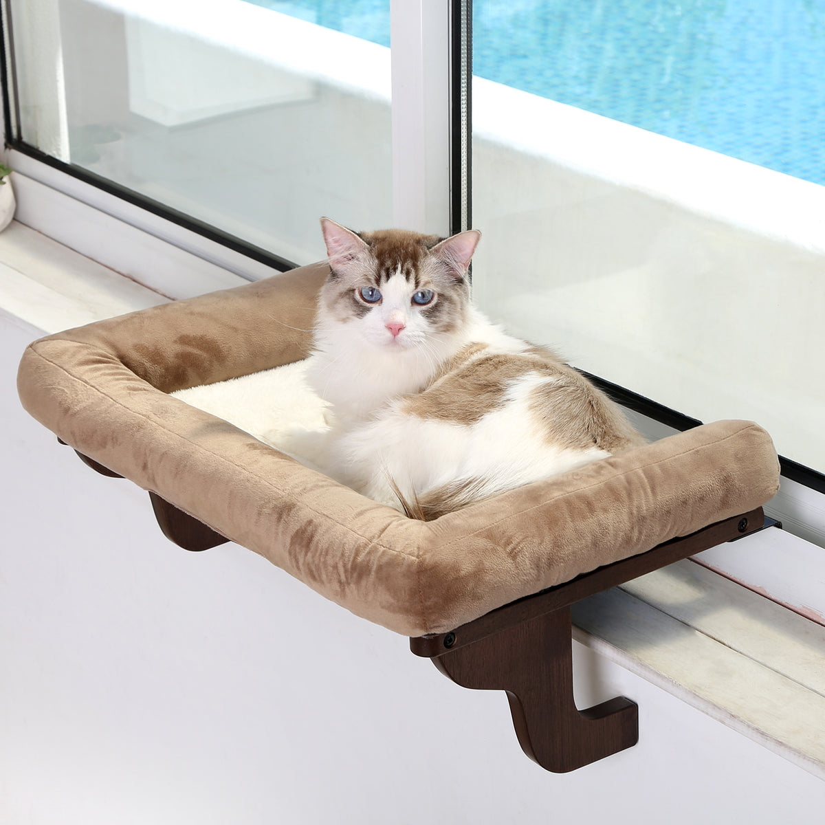 Zakkart Cat Perch for Windowsill with Bolsters