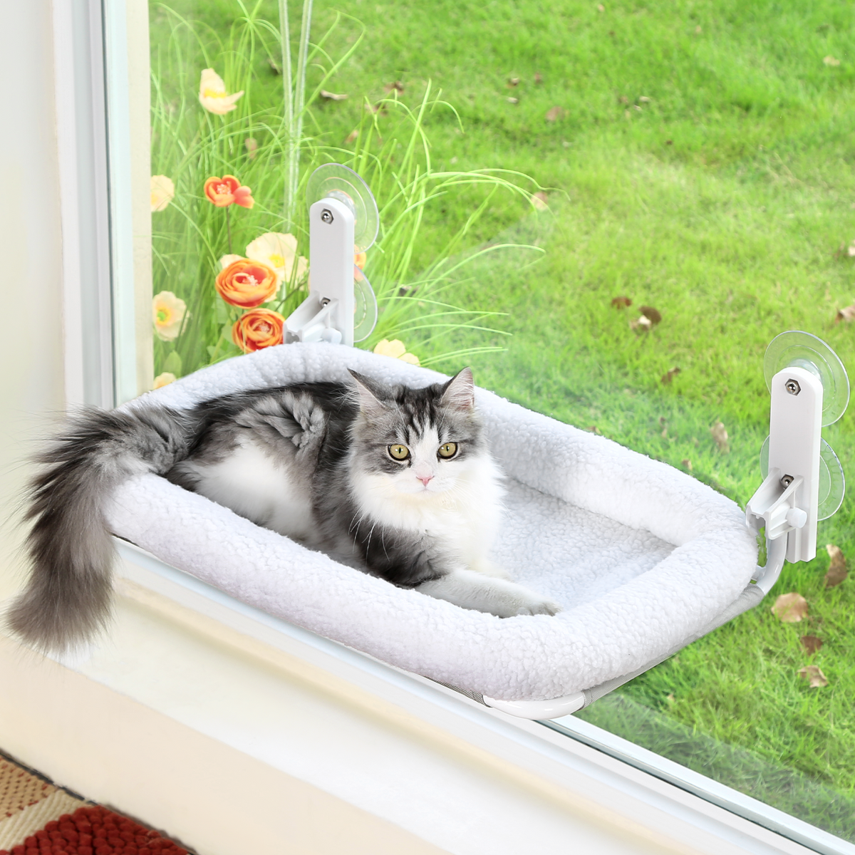 Zakkart Foldable Cat Hammock for Window