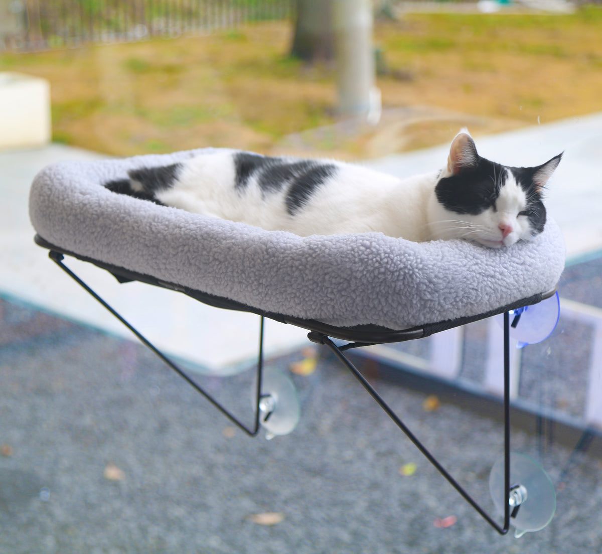 Zakkart Cat Window Perch, 100% Metal Supported from Below