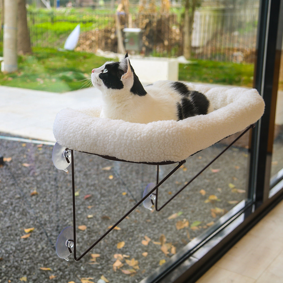 Zakkart Cat Window Perch, 100% Metal Supported from Below